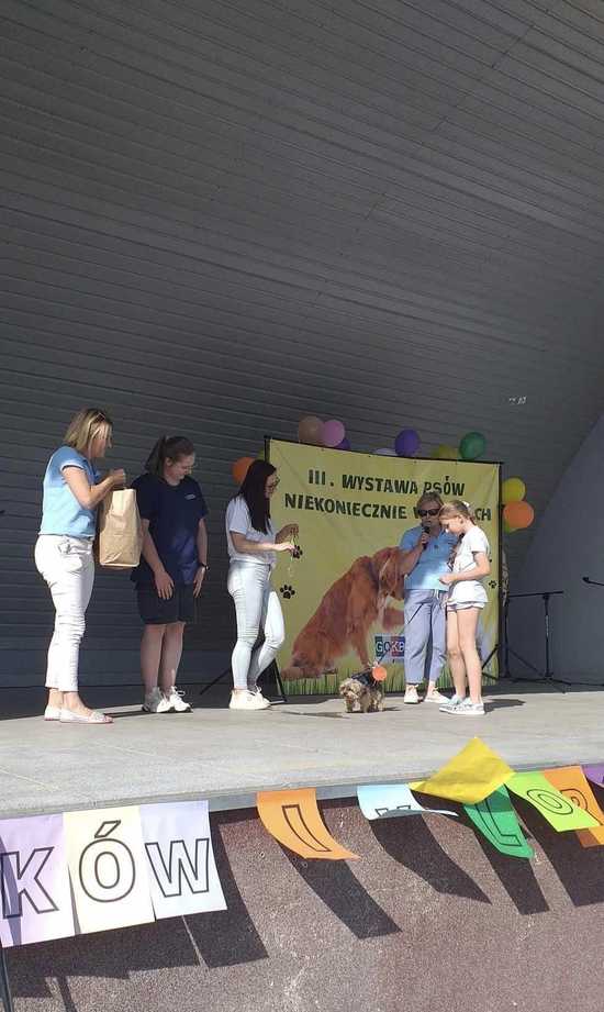 III Wystawa Psów Niekoniecznie Rasowych