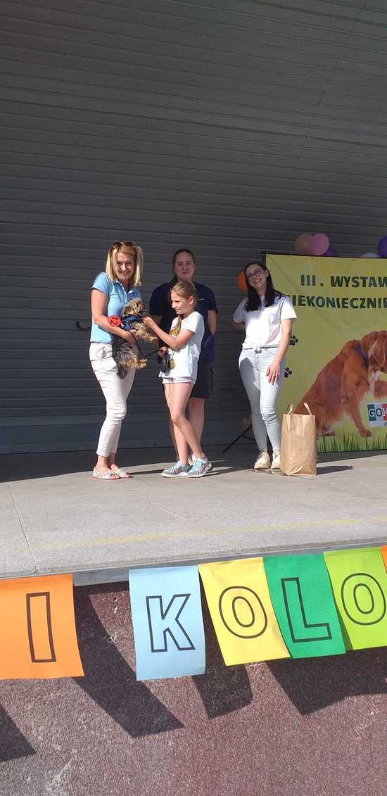 III Wystawa Psów Niekoniecznie Rasowych