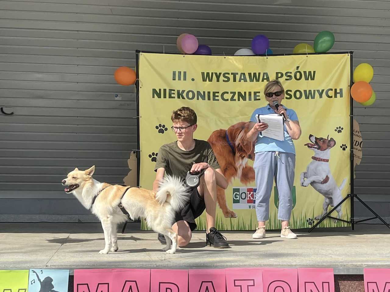 III Wystawa Psów Niekoniecznie Rasowych