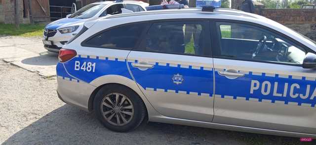Pijany kierowca w Gilowie