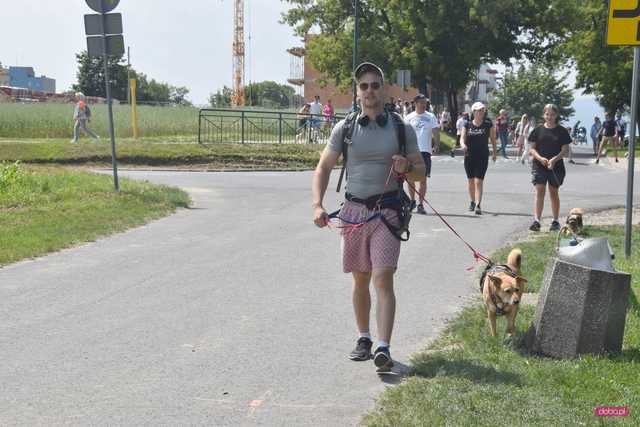 Bieg Cztery Łapy w Dzierżoniowie