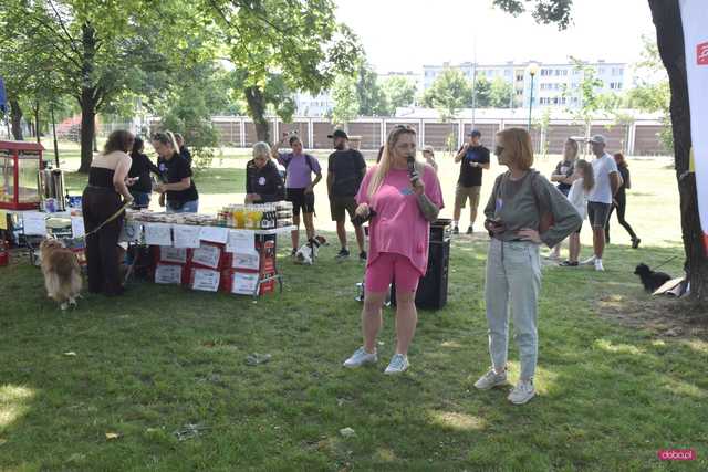Bieg Cztery Łapy w Dzierżoniowie
