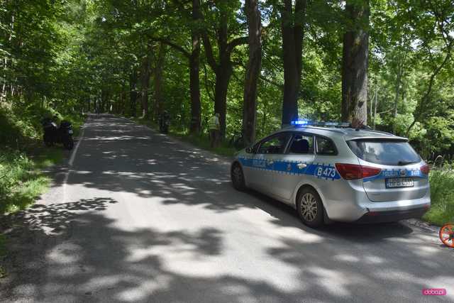 wypadek