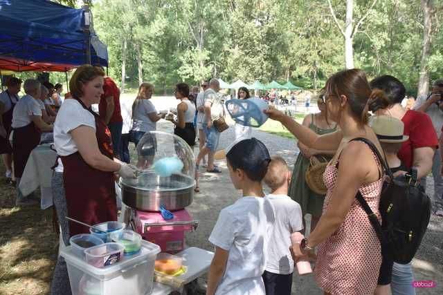 Powitanie lata i piknik historyczny w Niemczy