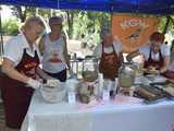 Powitanie lata i piknik historyczny w Niemczy