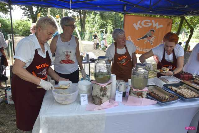 Powitanie lata i piknik historyczny w Niemczy