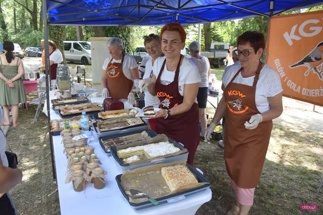 Powitanie lata i piknik historyczny w Niemczy