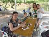 Powitanie lata i piknik historyczny w Niemczy