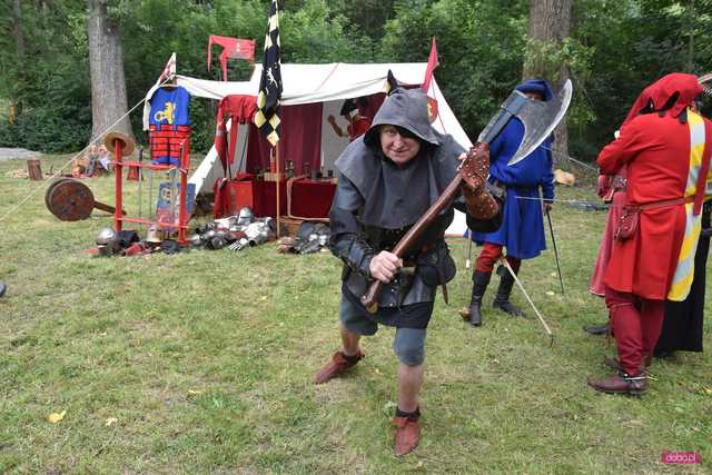 Powitanie lata i piknik historyczny w Niemczy