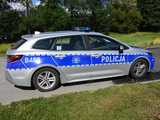 policja