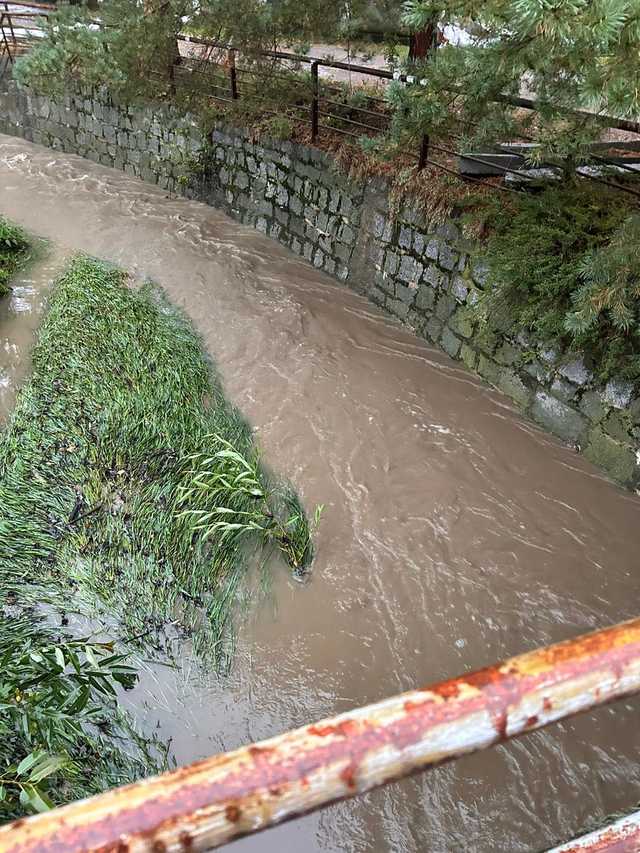 Noc w Gmina Niemcza minęła w miarę spokojnie