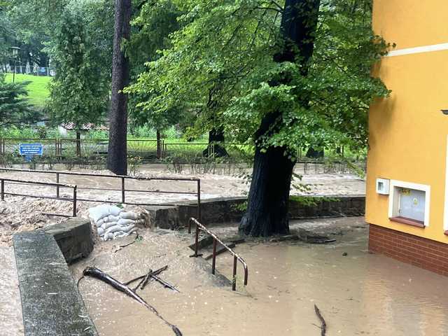 Sytuacja w Gminie Niemcza