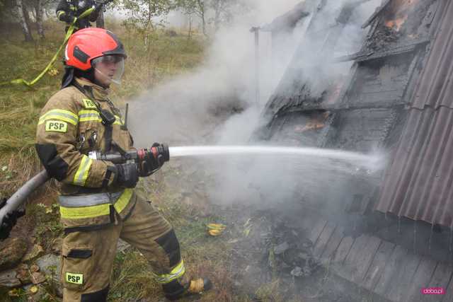 Pożar domku letniskowego w Górach Sowich: strażacy wciąż walczą z ogniem