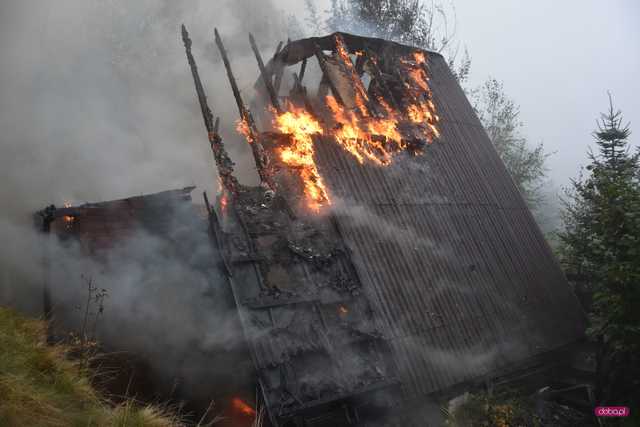 Pożar domku letniskowego w Górach Sowich: strażacy wciąż walczą z ogniem