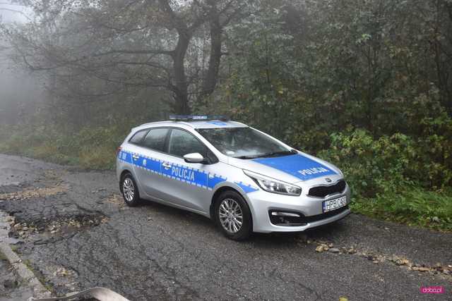 Pożar domku letniskowego w Górach Sowich: strażacy wciąż walczą z ogniem