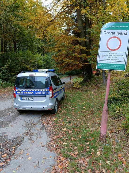 Straż Miejska Bielawy: mandat za wjazd samochodem do lasu