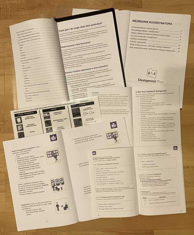 Rok 2024 Rokiem Dostępności