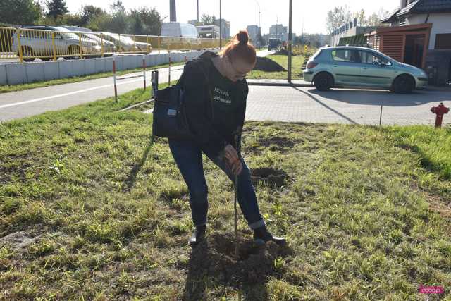 Akcja sadzenia drzew na 100-lecie Polskiego Towarzystwa Dendrologicznego