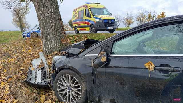 Fordem uderzył w drzewo