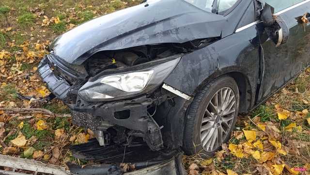 Fordem uderzył w drzewo