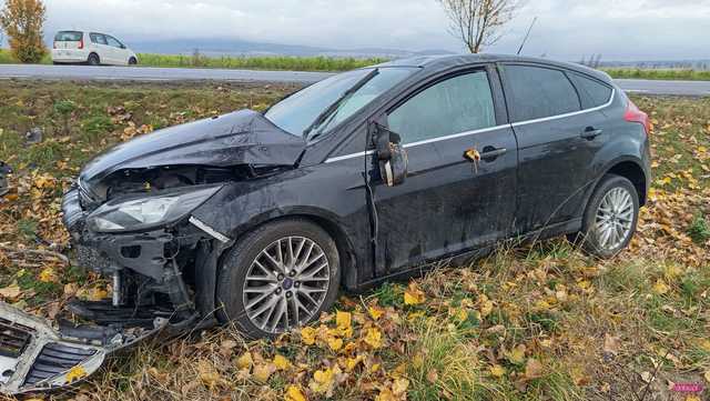 Fordem uderzył w drzewo