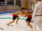 Ogólnopolski Turniej Młodziczek i Dzieci w sumo w Pieszycach