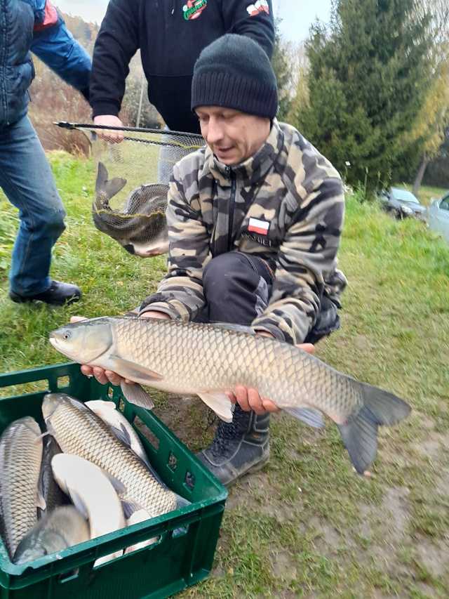 Koło PZW Bielawa zarybia swoje akweny