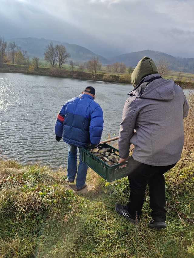 Koło PZW Bielawa zarybia swoje akweny
