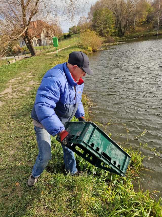 Koło PZW Bielawa zarybia swoje akweny