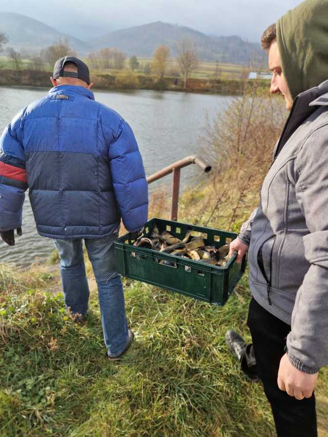 Koło PZW Bielawa zarybia swoje akweny