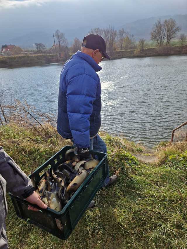 Koło PZW Bielawa zarybia swoje akweny