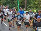 7 maratonów i 14 półmaratonów w 2024 r.