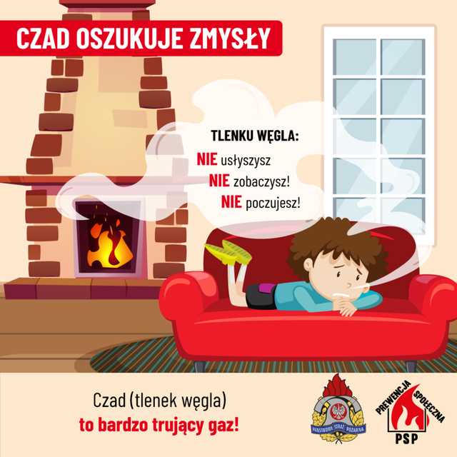 Projekt „Czujka na straży Twojego bezpieczeństwa!”