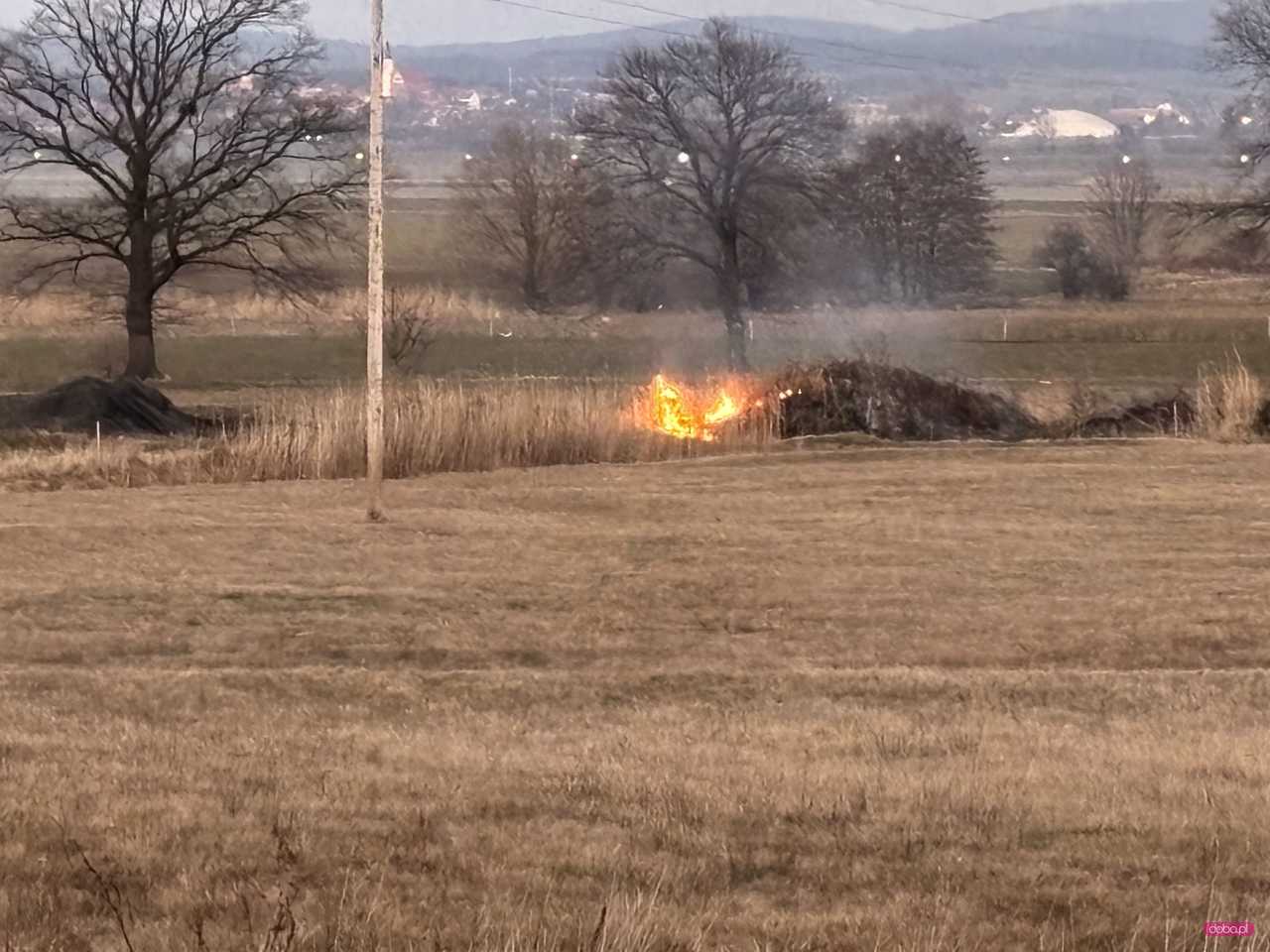 Straż pożarna na polach pomiędzy Pieszycami a Bielawą