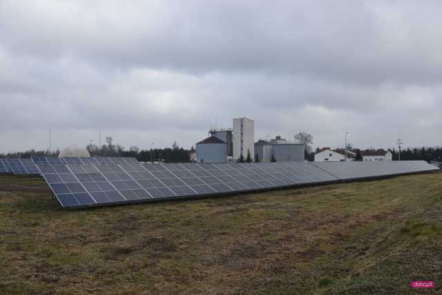 Komunalna farma fotowoltaiczna powstanie w Dzierżoniowie