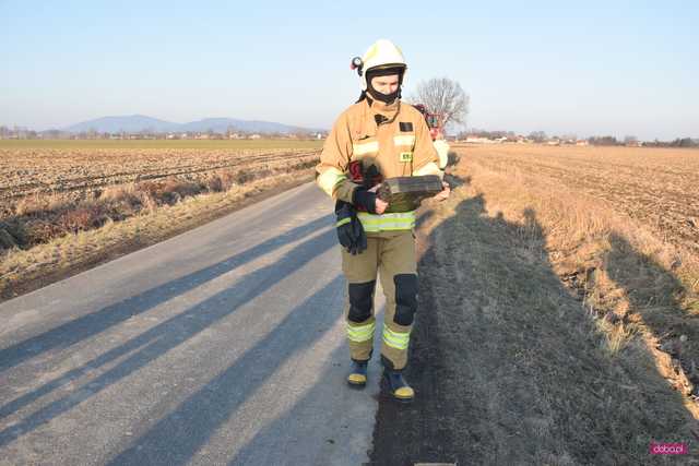 pożar