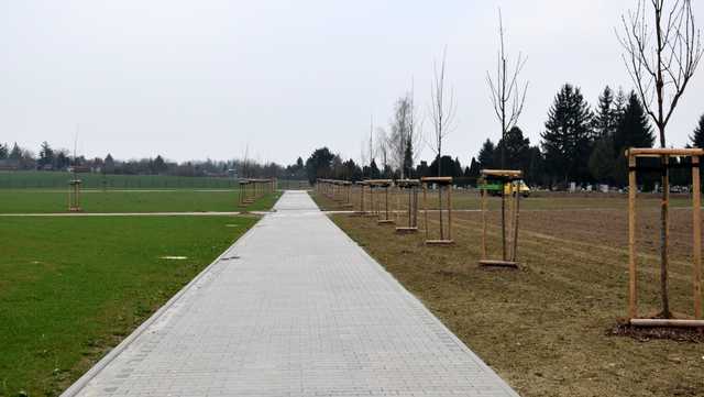 Dzierżoniów. Postęp prac przy powiększeniu cmentarza
