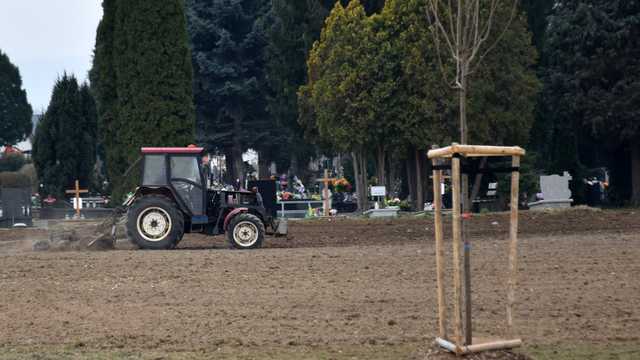 Dzierżoniów. Postęp prac przy powiększeniu cmentarza