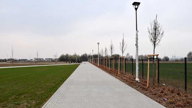 Dzierżoniów. Postęp prac przy powiększeniu cmentarza