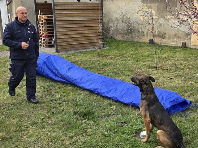 Policjanci z Dzierżoniowa wsparli WOŚP – wyjątkowe szkolenie z psem służbowym