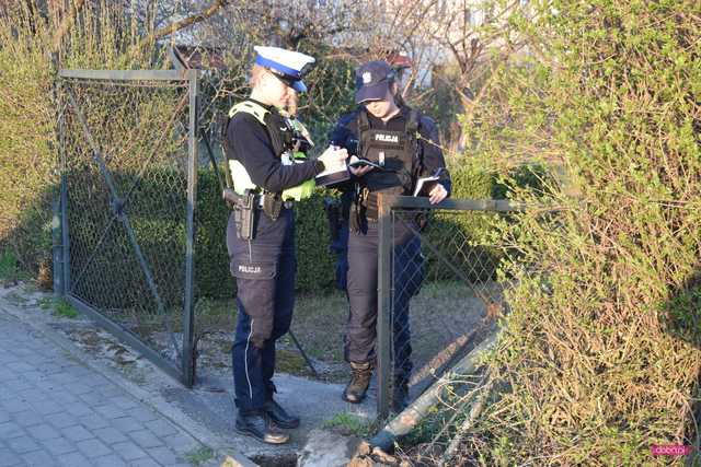 Pieszyce. Wjechał pojazdem w bramę i uciekł