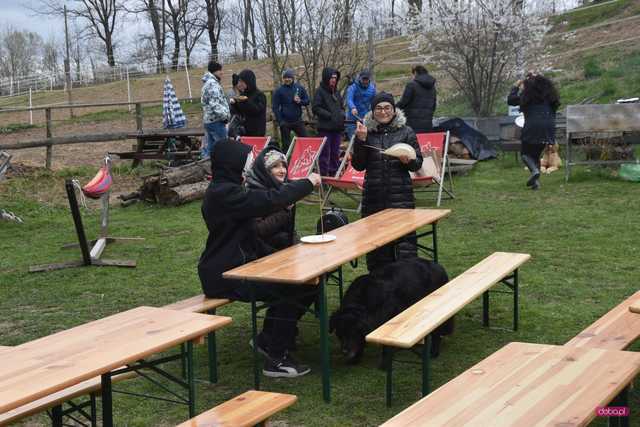 Piknik koniastyczny