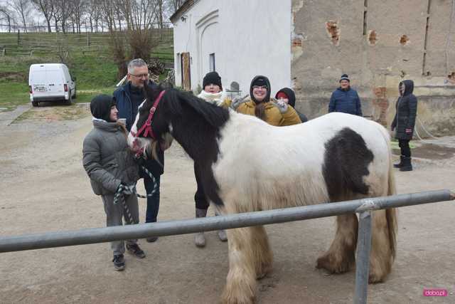 Piknik koniastyczny