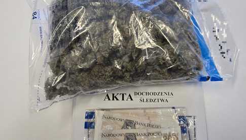 Policjanci z Dzierżoniowa zabezpieczyli blisko 270 gramów marihuany