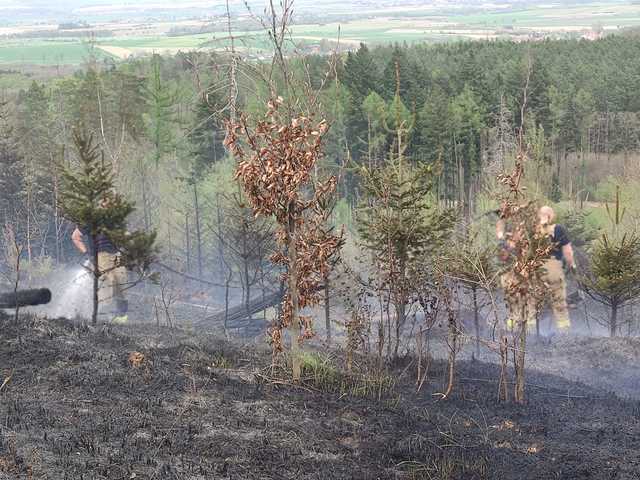 Pożar lasu