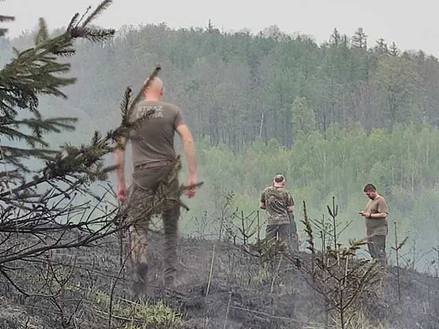Pożar lasu