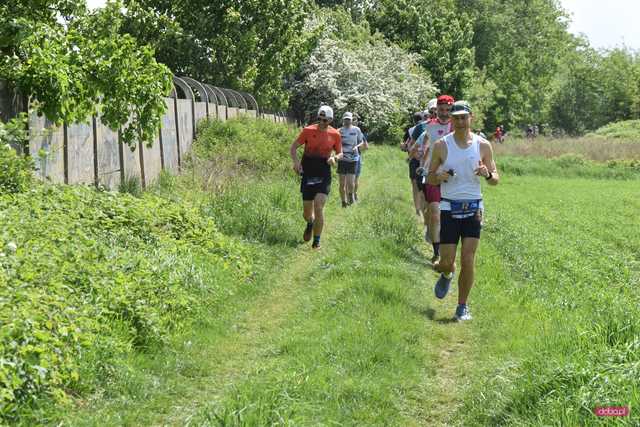 Backyard Ultra w Pieszycach
