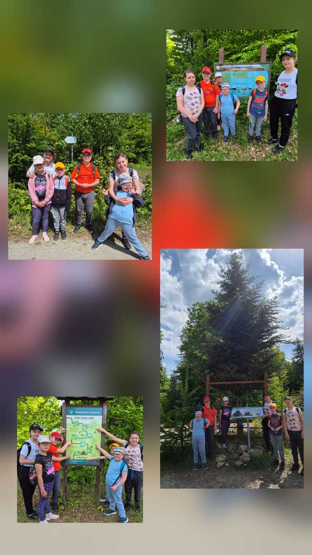 Regionalnie jest fajnie