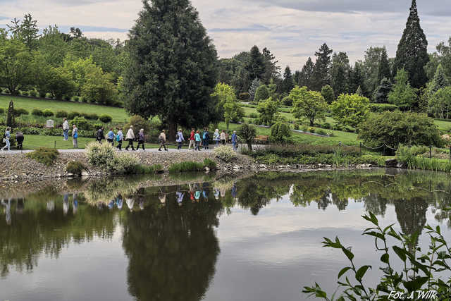 Majowe Arboretum w Wojsławicach