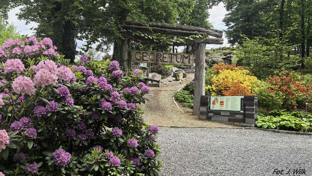 Majowe Arboretum w Wojsławicach